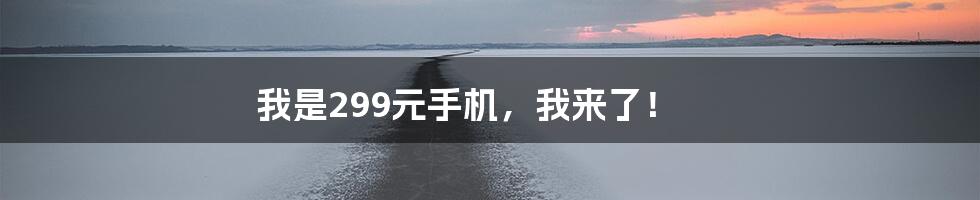 我是299元手机,我来了!