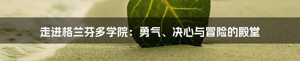 走进格兰芬多学院:勇气、决心与冒险的殿堂