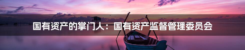 国有资产的掌门人:国有资产监督管理委员会