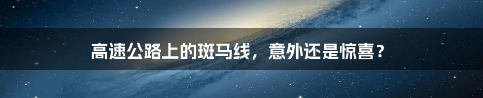 高速公路上的斑马线,意外还是惊喜?