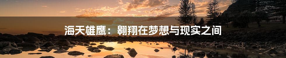 海天雄鹰:翱翔在梦想与现实之间