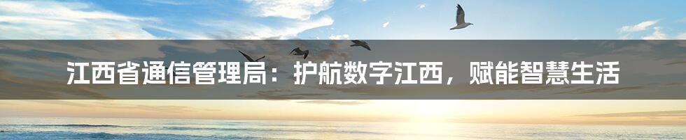 江西省通信管理局:护航数字江西,赋能智慧生活