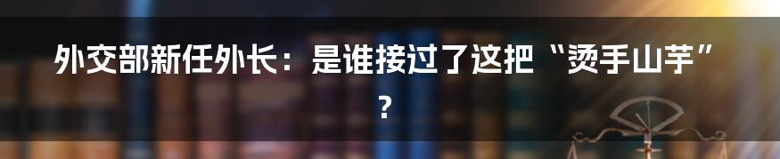 外交部新任外长:是谁接过了这把“烫手山芋”?