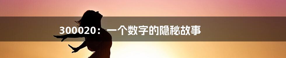 300020:一个数字的隐秘故事
