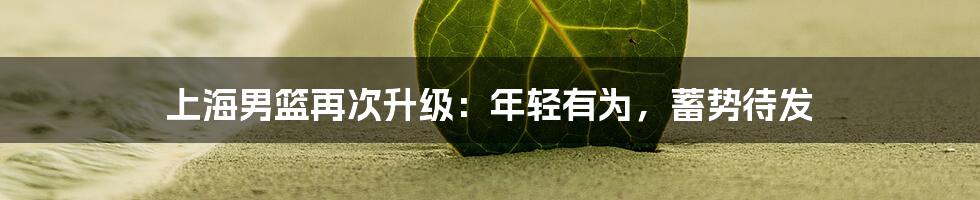 上海男篮再次升级:年轻有为,蓄势待发
