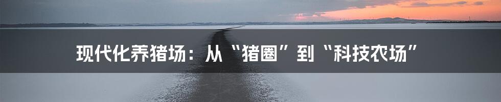现代化养猪场:从“猪圈”到“科技农场”