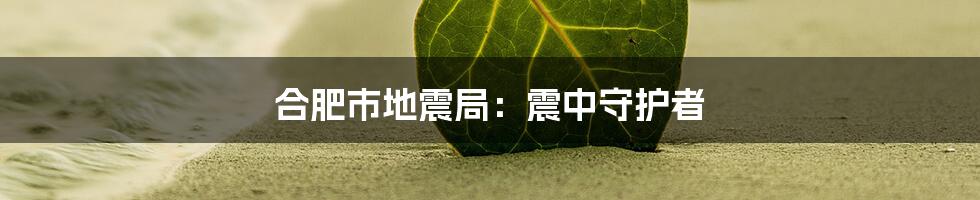 合肥市地震局:震中守护者