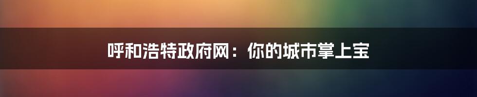 呼和浩特政府网:你的城市掌上宝