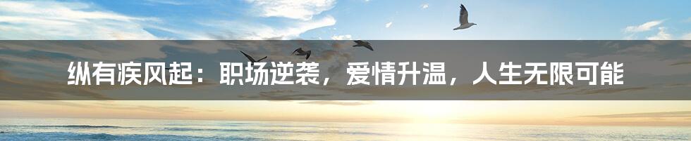 纵有疾风起：职场逆袭，爱情升温，人生无限可能