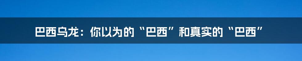 巴西乌龙：你以为的“巴西”和真实的“巴西”
