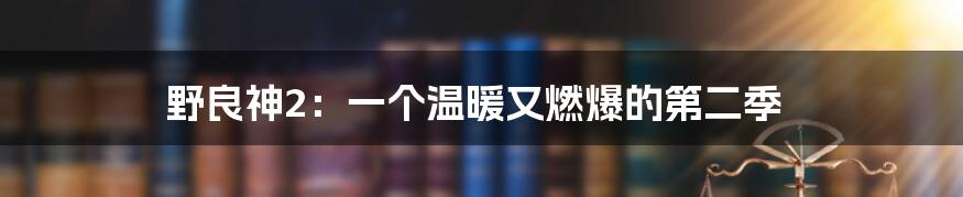 野良神2:一个温暖又燃爆的第二季
