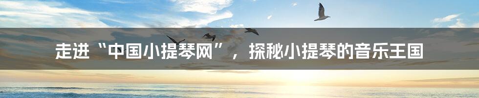 走进“中国小提琴网”,探秘小提琴的音乐王国