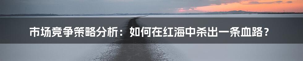 市场竞争策略分析:如何在红海中杀出一条血路?