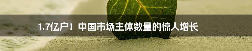 1.7亿户!中国市场主体数量的惊人增长