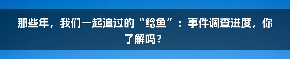 那些年,我们一起追过的“鲶鱼”:事件调查进度,你了解吗?