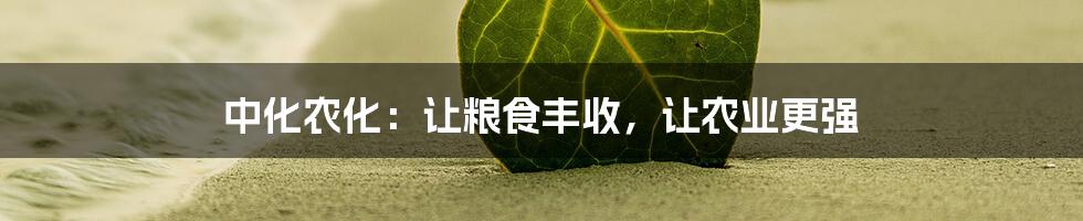 中化农化:让粮食丰收,让农业更强