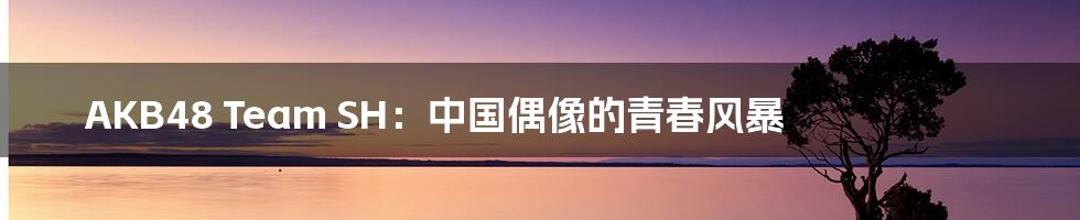 AKB48 Team SH:中国偶像的青春风暴