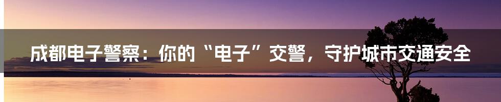 成都电子警察:你的“电子”交警,守护城市交通安全