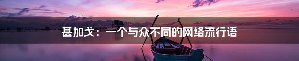 甚加戈:一个与众不同的网络流行语