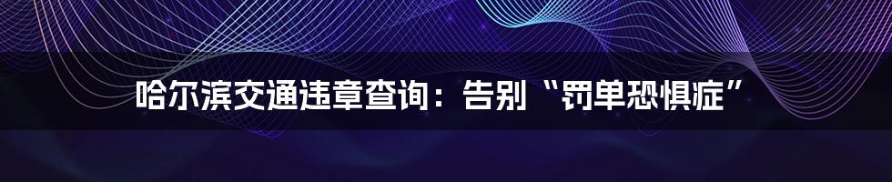 哈尔滨交通违章查询:告别“罚单恐惧症”