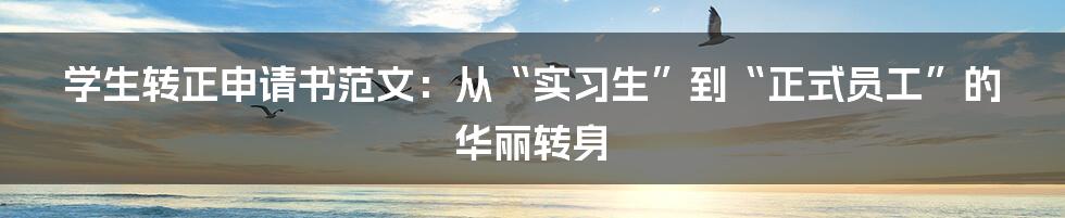 学生转正申请书范文:从“实习生”到“正式员工”的华丽转身