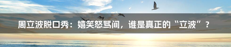 周立波脱口秀:嬉笑怒骂间,谁是真正的“立波”?