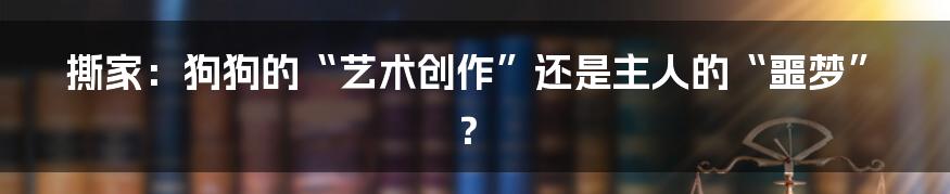 撕家:狗狗的“艺术创作”还是主人的“噩梦”?
