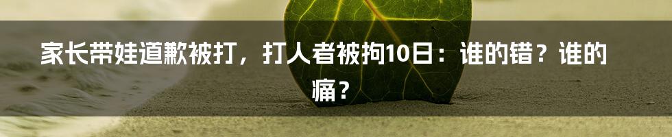 家长带娃道歉被打,打人者被拘10日:谁的错?谁的痛?