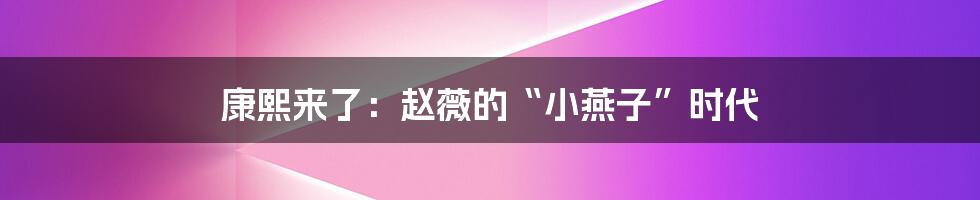 康熙来了:赵薇的“小燕子”时代
