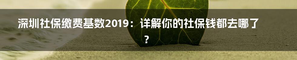 深圳社保缴费基数2019:详解你的社保钱都去哪了?
