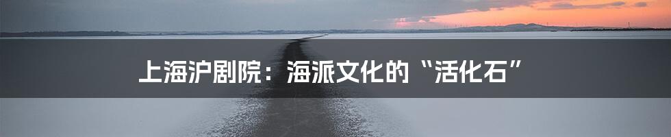 上海沪剧院:海派文化的“活化石”