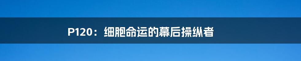 P120:细胞命运的幕后操纵者
