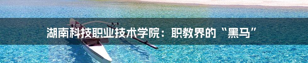 湖南科技职业技术学院:职教界的“黑马”