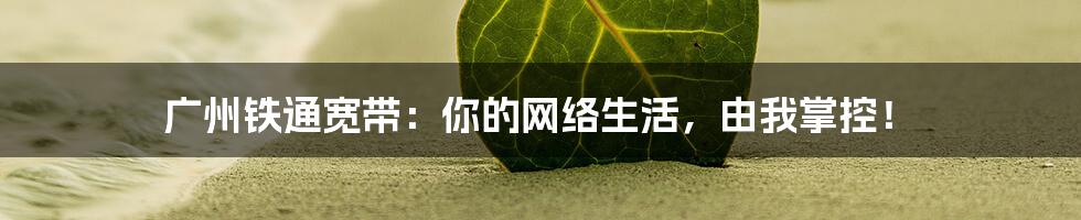 广州铁通宽带:你的网络生活,由我掌控!