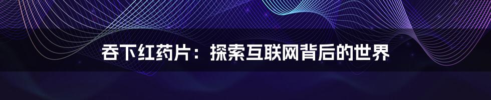 吞下红药片:探索互联网背后的世界