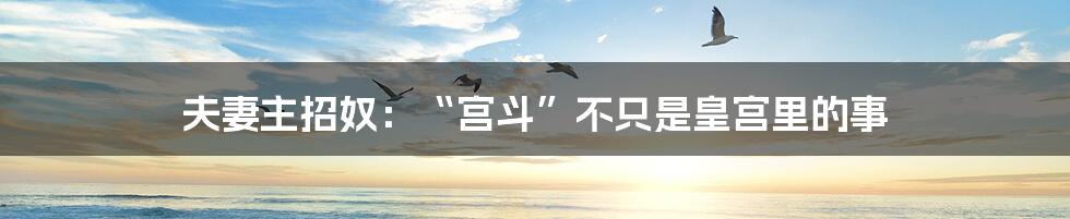 夫妻主招奴：“宫斗”不只是皇宫里的事