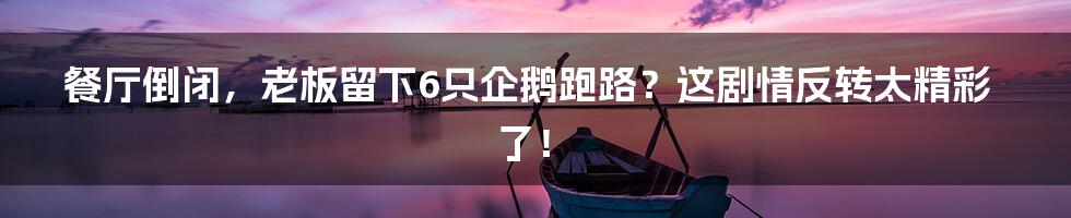 餐厅倒闭,老板留下6只企鹅跑路?这剧情反转太精彩了!
