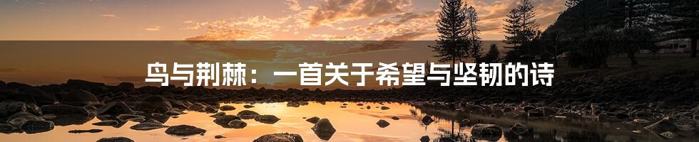 鸟与荆棘:一首关于希望与坚韧的诗