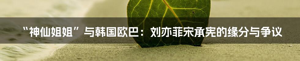“神仙姐姐”与韩国欧巴:刘亦菲宋承宪的缘分与争议