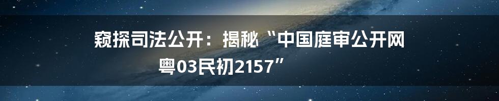 窥探司法公开：揭秘“中国庭审公开网 粤03民初2157”