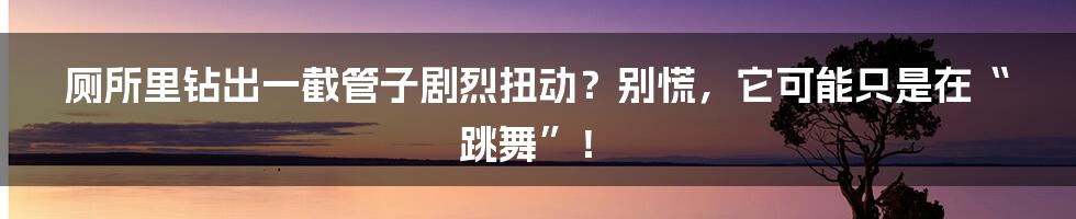 厕所里钻出一截管子剧烈扭动?别慌,它可能只是在“跳舞”!