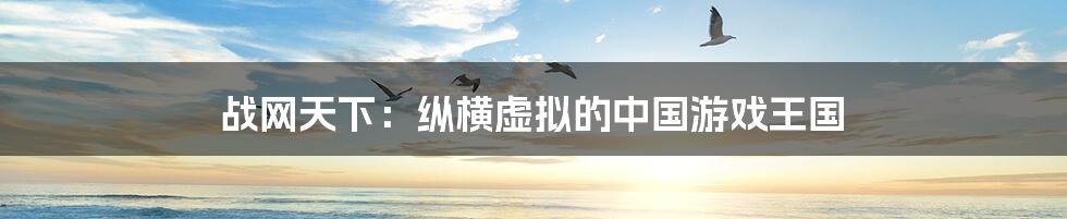 战网天下:纵横虚拟的中国游戏王国