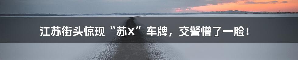 江苏街头惊现“苏X”车牌，交警懵了一脸！
