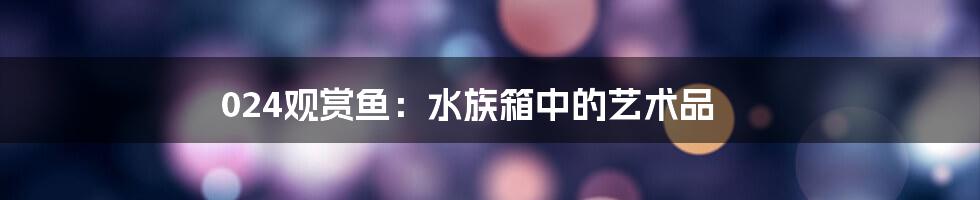 024观赏鱼:水族箱中的艺术品
