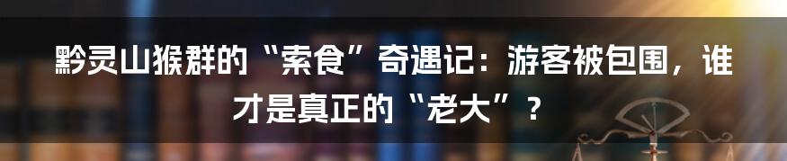 黔灵山猴群的“索食”奇遇记:游客被包围,谁才是真正的“老大”?