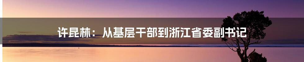 许昆林:从基层干部到浙江省委副书记