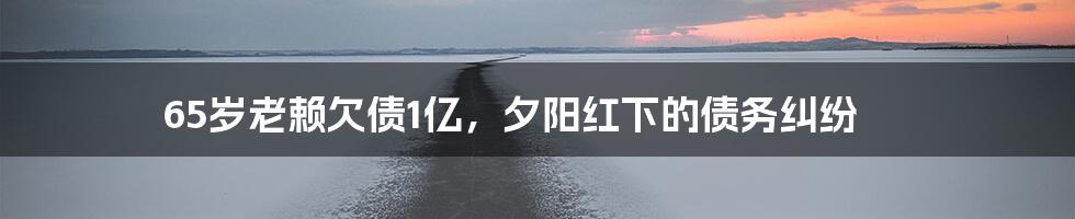 65岁老赖欠债1亿,夕阳红下的债务纠纷