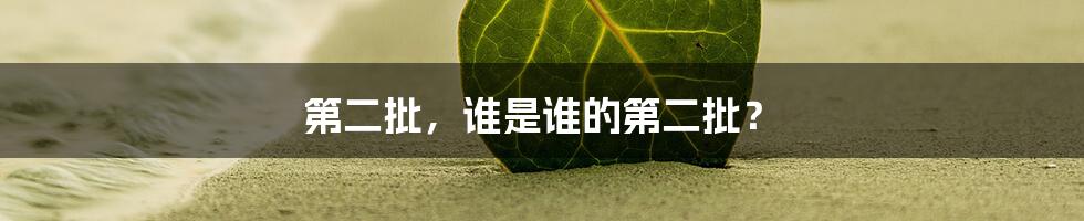 第二批,谁是谁的第二批?