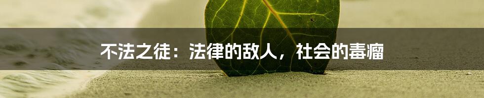 不法之徒:法律的敌人,社会的毒瘤