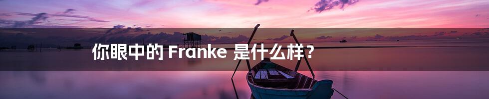 你眼中的 Franke 是什么样?